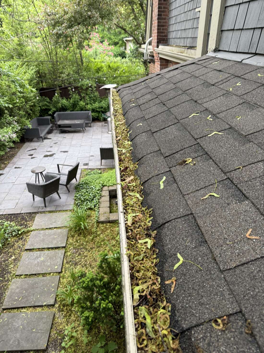 Gutter packed with leaves and maple seeds on a Toronto home