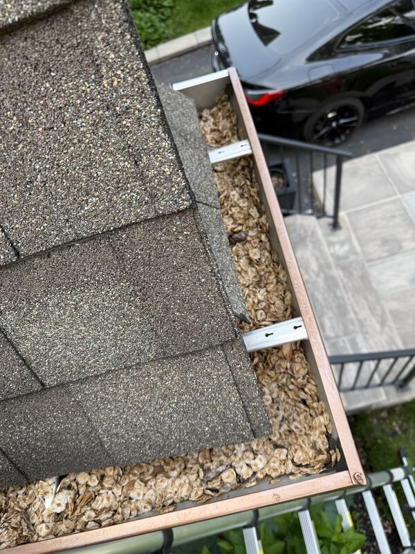 Copper gutter filled with maple seeds
