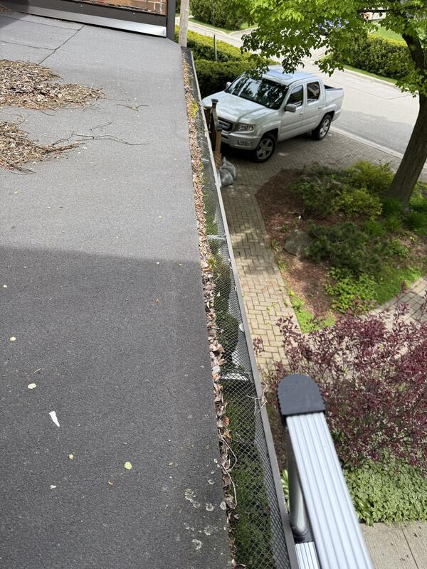 Leaves and twigs piled on a gutter guard on a flat roof